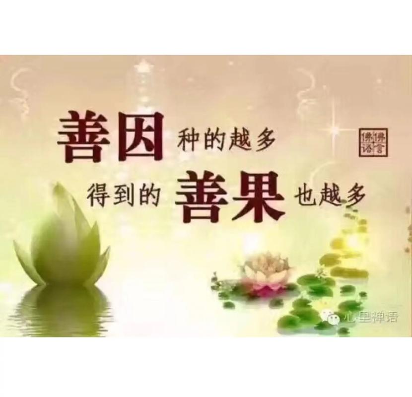 有因果的常识 - 有因果的常识叫什么-第2张图片-牛逼常识网 有因果的常识 - 有因果的常识叫什么-第2张图片-牛逼常识网