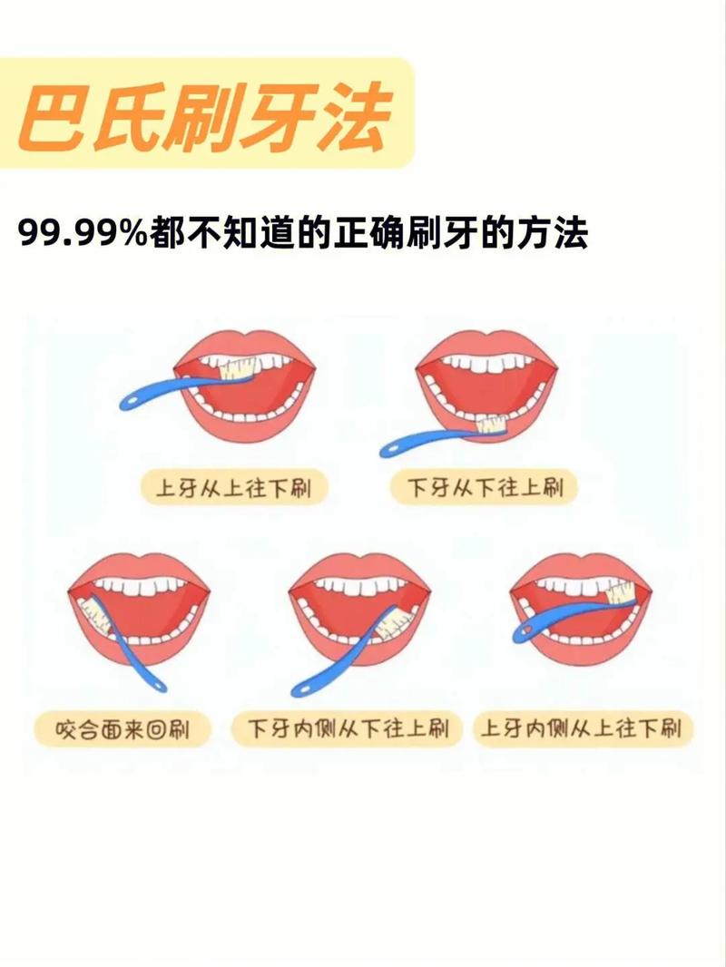 牙科常识知识,牙科知识小课堂-第2张图片-牛逼常识网 牙科常识知识,牙科知识小课堂-第2张图片-牛逼常识网