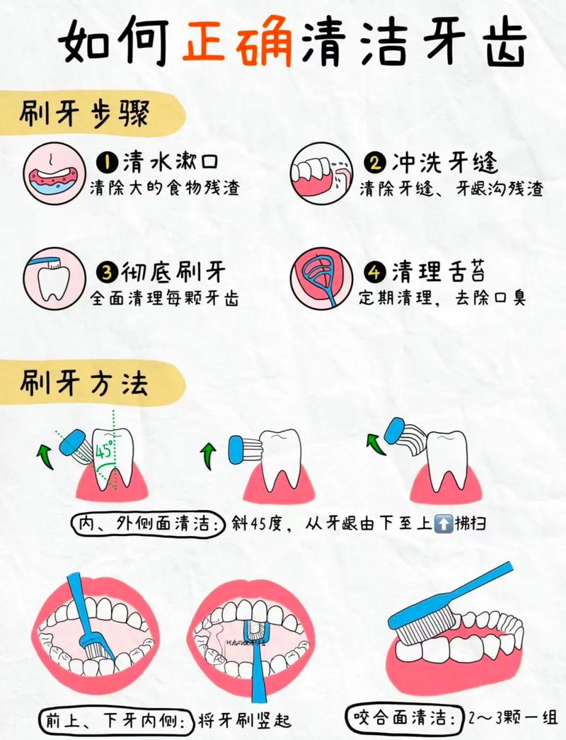 牙科常识知识,牙科知识小课堂-第6张图片-牛逼常识网 牙科常识知识,牙科知识小课堂-第6张图片-牛逼常识网