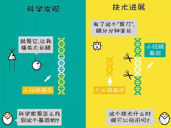 谁理论与常识,常识和理论的论证思路-第4张图片-牛逼常识网 谁理论与常识,常识和理论的论证思路-第4张图片-牛逼常识网