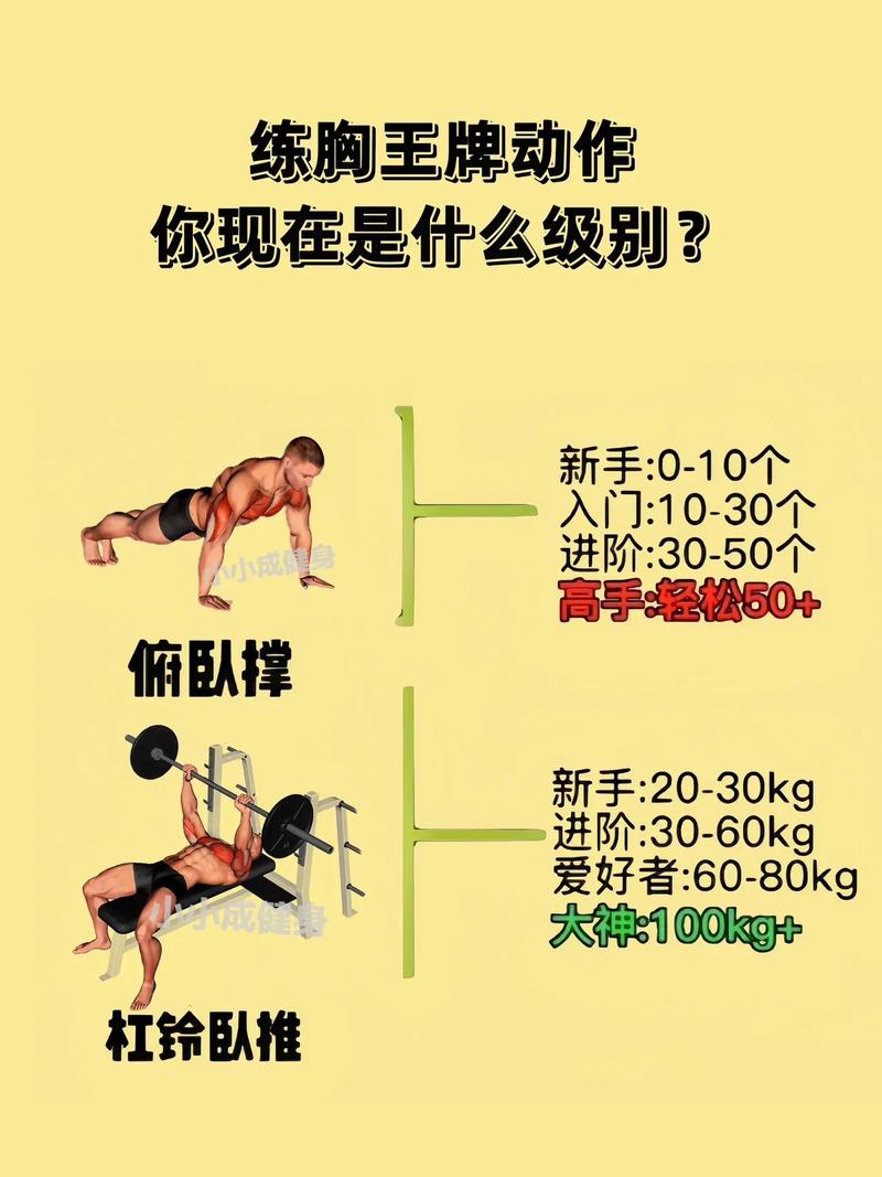 胸肌训练常识(胸肌训练常识有哪些)-第1张图片-牛逼常识网 胸肌训练常识(胸肌训练常识有哪些)-第1张图片-牛逼常识网