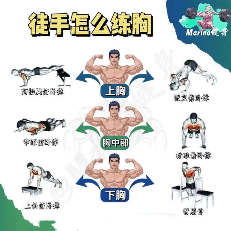 胸肌训练常识(胸肌训练常识有哪些)-第8张图片-牛逼常识网 胸肌训练常识(胸肌训练常识有哪些)-第8张图片-牛逼常识网