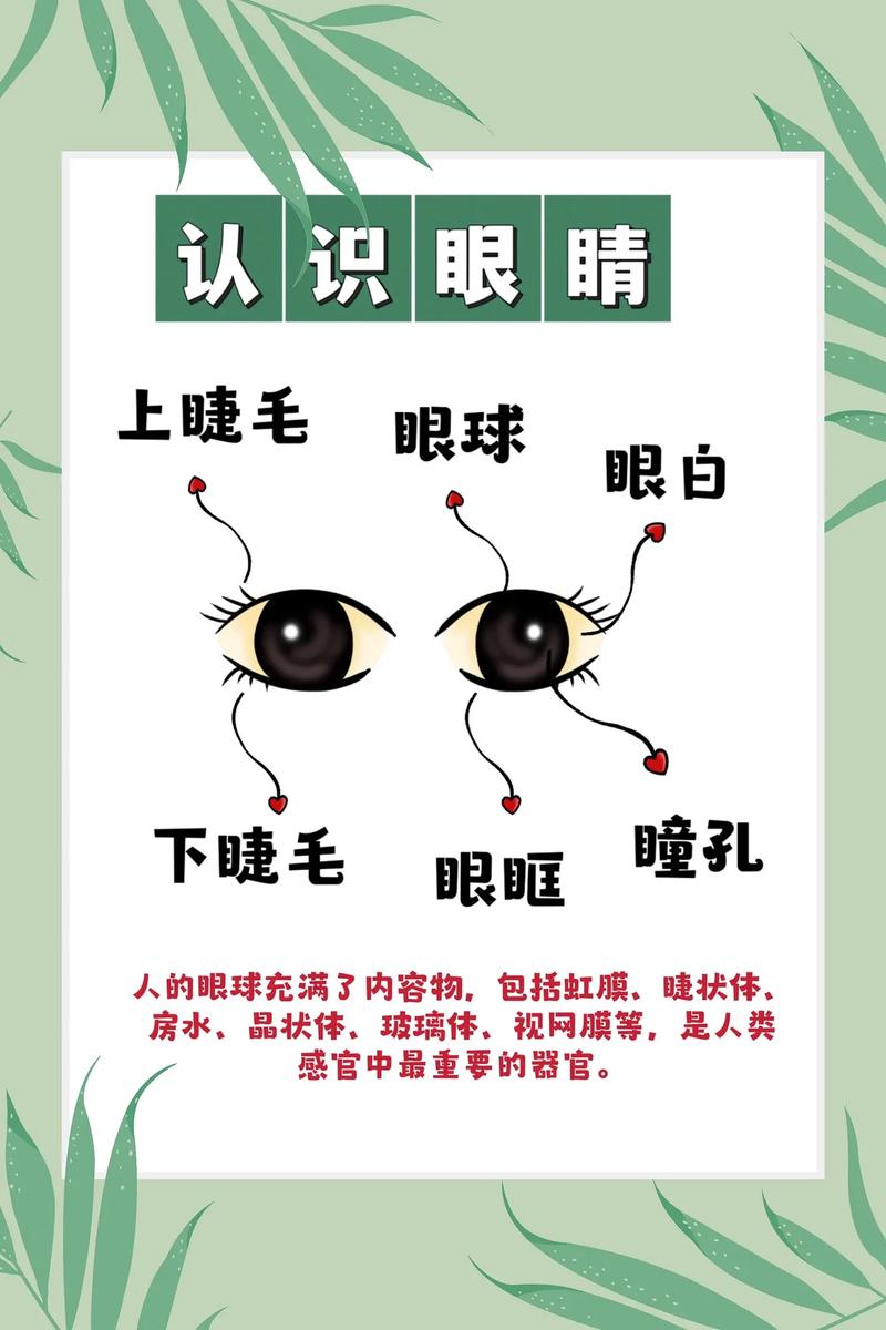 眼睛防护常识 - 眼睛防护知识手抄报-第7张图片-牛逼常识网 眼睛防护常识 - 眼睛防护知识手抄报-第7张图片-牛逼常识网