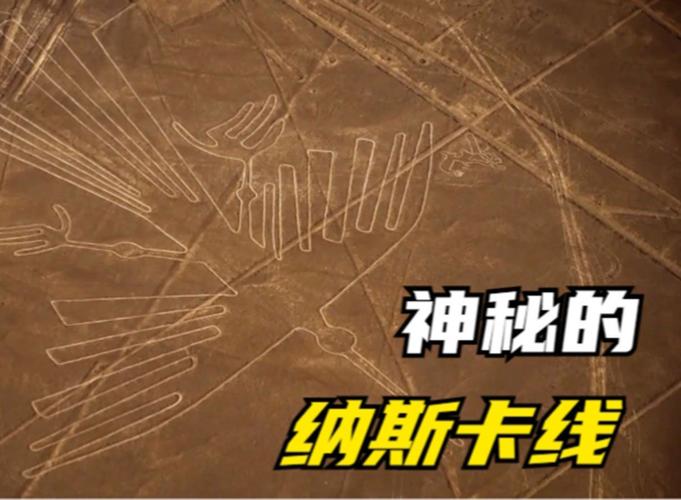 工程线条常识,工程条线工作-第6张图片-牛逼常识网 工程线条常识,工程条线工作-第6张图片-牛逼常识网