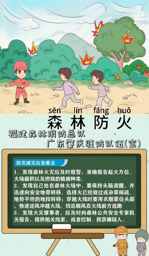 山上灭火常识 - 山火灭火方法-第3张图片-牛逼常识网 山上灭火常识 - 山火灭火方法-第3张图片-牛逼常识网