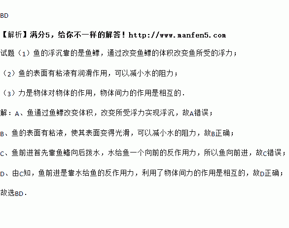 符合明显常识,符合明显常识的成语-第7张图片-牛逼常识网 符合明显常识,符合明显常识的成语-第7张图片-牛逼常识网