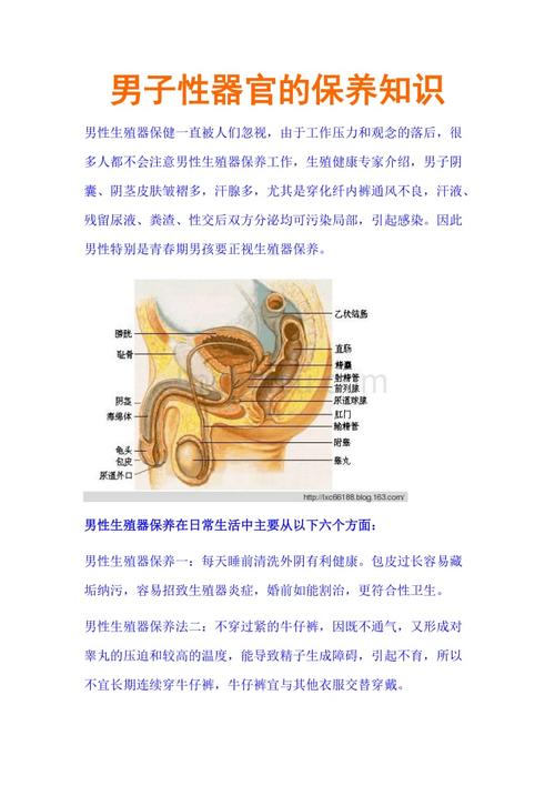 基本生理常识 - 生理基础知识点归纳-第1张图片-牛逼常识网 基本生理常识 - 生理基础知识点归纳-第1张图片-牛逼常识网