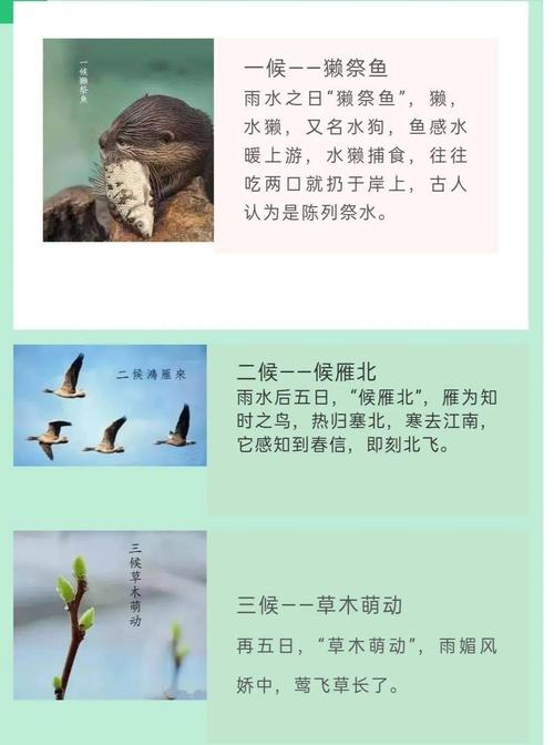节气雨水常识,雨水节气小知识24-第2张图片-牛逼常识网 节气雨水常识,雨水节气小知识24-第2张图片-牛逼常识网