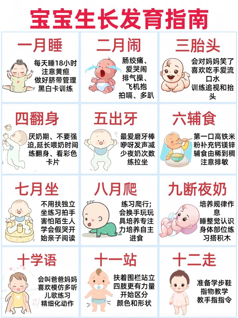 常识认知训练 - 常识认知训练题及答案-第3张图片-牛逼常识网 常识认知训练 - 常识认知训练题及答案-第3张图片-牛逼常识网