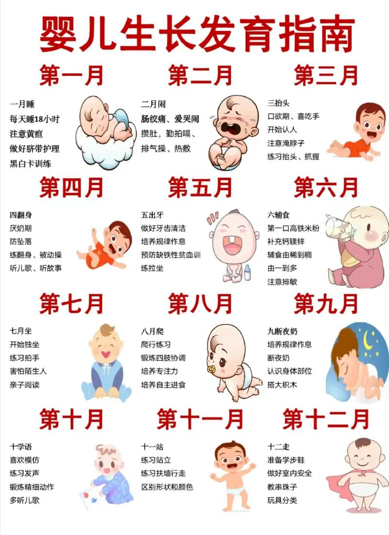 常识认知训练 - 常识认知训练题及答案-第4张图片-牛逼常识网 常识认知训练 - 常识认知训练题及答案-第4张图片-牛逼常识网