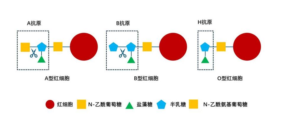 改变世界常识 - 改变世界常识的小说-第3张图片-牛逼常识网 改变世界常识 - 改变世界常识的小说-第3张图片-牛逼常识网