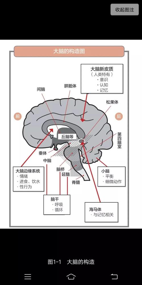 常识记忆容量 - 常识记忆是指储存时间为多少以上的记忆-第1张图片-牛逼常识网 常识记忆容量 - 常识记忆是指储存时间为多少以上的记忆-第1张图片-牛逼常识网