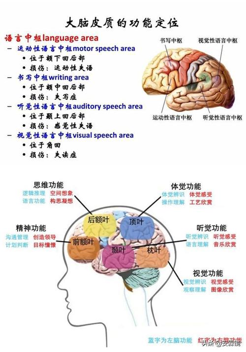 常识记忆容量 - 常识记忆是指储存时间为多少以上的记忆-第3张图片-牛逼常识网 常识记忆容量 - 常识记忆是指储存时间为多少以上的记忆-第3张图片-牛逼常识网