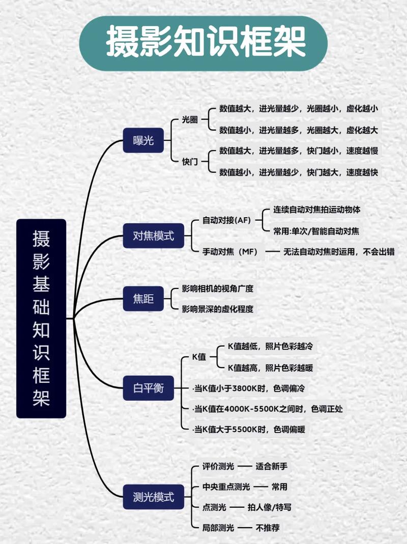 文化常识视频素材(文化常识视频素材免费下载)-第5张图片-牛逼常识网 文化常识视频素材(文化常识视频素材免费下载)-第5张图片-牛逼常识网