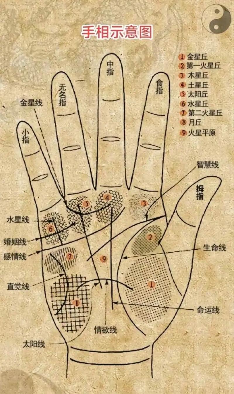 图解文化常识 - 文化常识解释-第7张图片-牛逼常识网 图解文化常识 - 文化常识解释-第7张图片-牛逼常识网