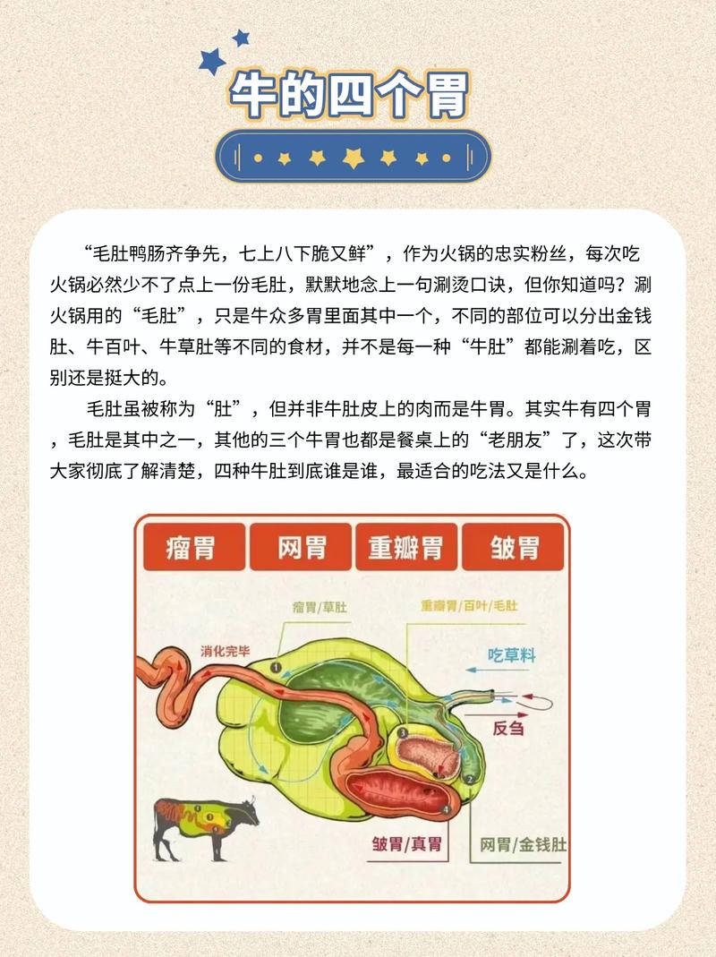 牛的生活常识(牛的生活方式是什么)-第2张图片-牛逼常识网 牛的生活常识(牛的生活方式是什么)-第2张图片-牛逼常识网