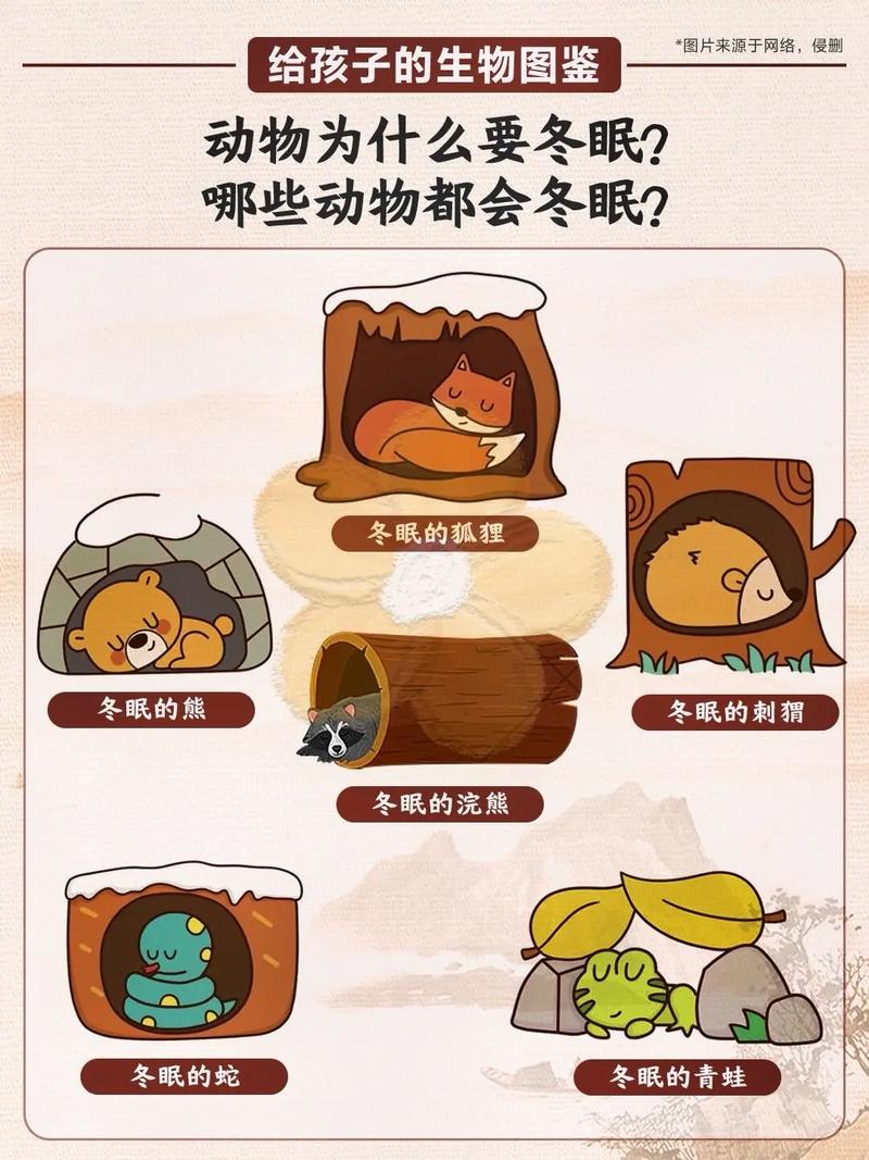 冬天科学常识(冬天科普知识)-第2张图片-牛逼常识网 冬天科学常识(冬天科普知识)-第2张图片-牛逼常识网