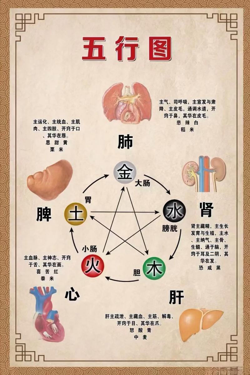 养生常识科普视频,养生常识科普视频短片-第2张图片-牛逼常识网 养生常识科普视频,养生常识科普视频短片-第2张图片-牛逼常识网