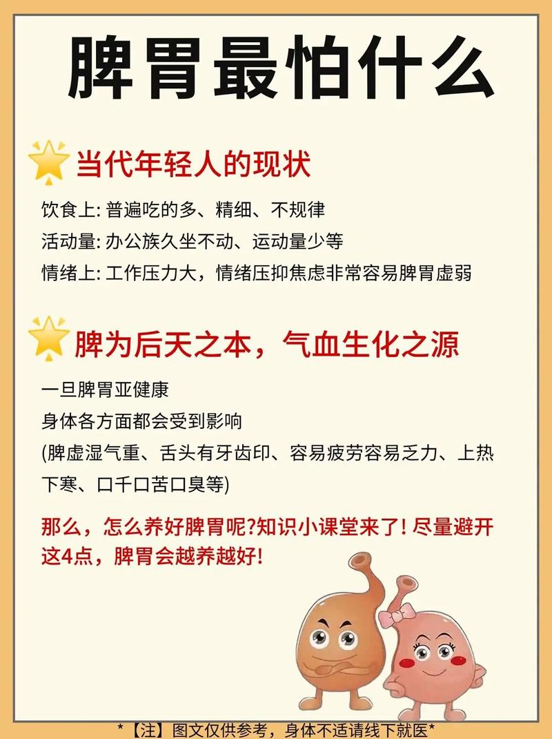 脾胃养生常识 - 脾胃如何养生与治疗-第2张图片-牛逼常识网 脾胃养生常识 - 脾胃如何养生与治疗-第2张图片-牛逼常识网