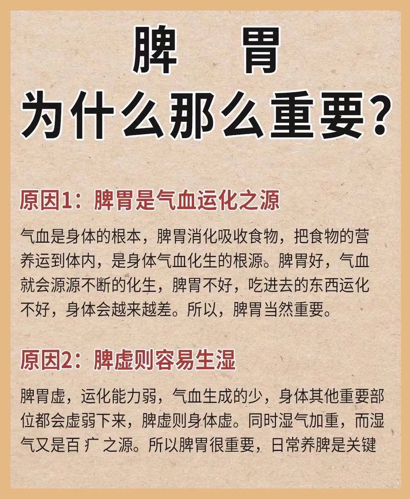脾胃养生常识 - 脾胃如何养生与治疗-第5张图片-牛逼常识网 脾胃养生常识 - 脾胃如何养生与治疗-第5张图片-牛逼常识网