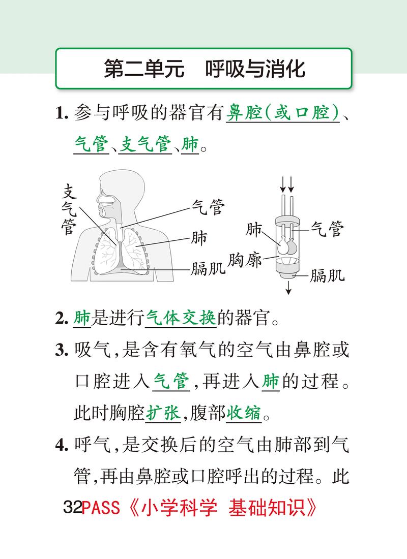 呼吸临床常识,呼吸临床常识总结-第6张图片-牛逼常识网 呼吸临床常识,呼吸临床常识总结-第6张图片-牛逼常识网