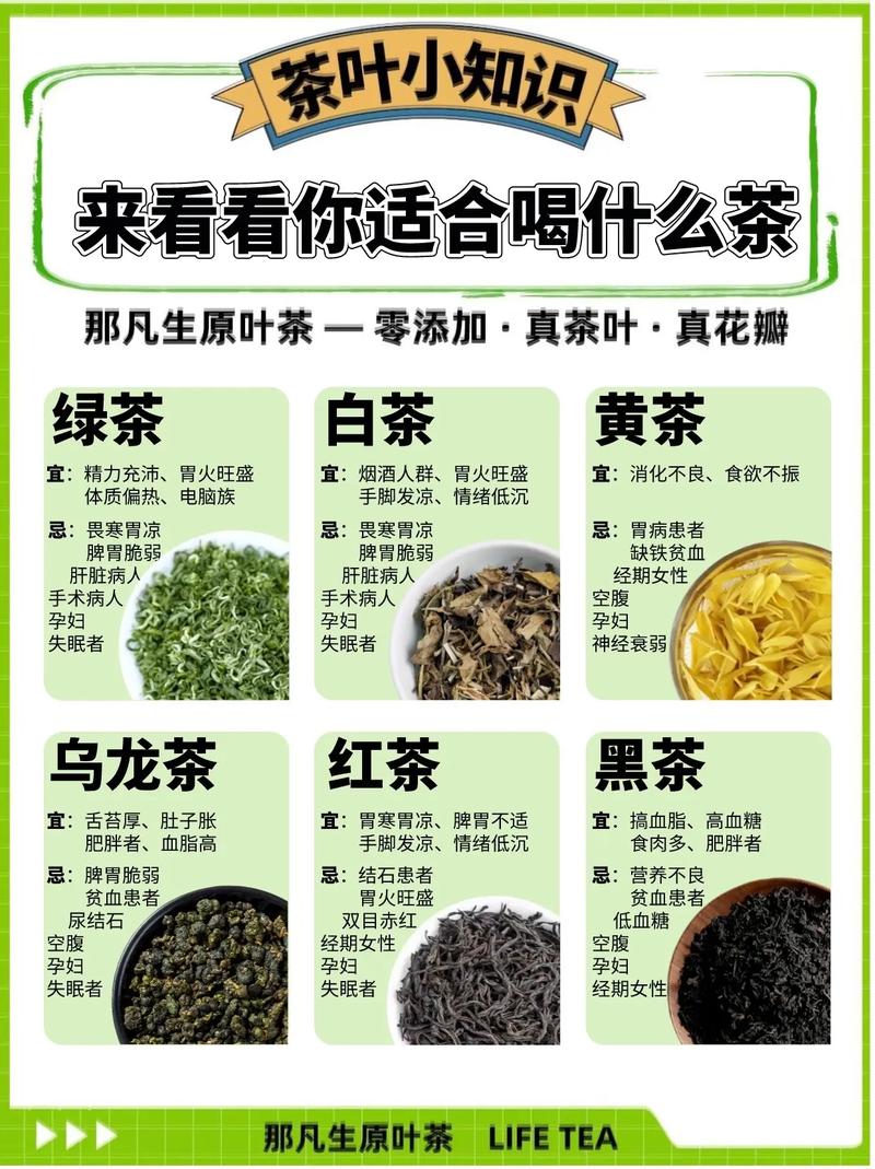 绿茶冲泡常识(绿茶冲泡讲解)-第4张图片-牛逼常识网 绿茶冲泡常识(绿茶冲泡讲解)-第4张图片-牛逼常识网