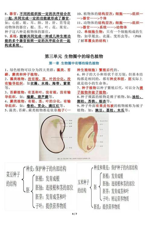 初一生物常识(初一生物常识题)-第3张图片-牛逼常识网 初一生物常识(初一生物常识题)-第3张图片-牛逼常识网
