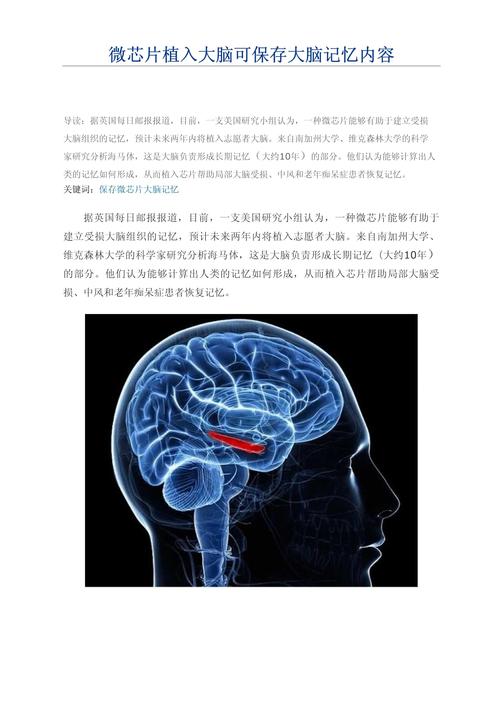 小说常识植入 - 小说常识总结-第3张图片-牛逼常识网 小说常识植入 - 小说常识总结-第3张图片-牛逼常识网