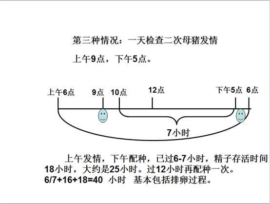 母猪育种常识(母猪种猪养殖技术)-第1张图片-牛逼常识网 母猪育种常识(母猪种猪养殖技术)-第1张图片-牛逼常识网