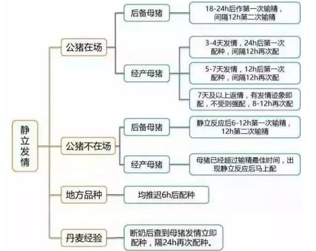 母猪育种常识(母猪种猪养殖技术)-第2张图片-牛逼常识网 母猪育种常识(母猪种猪养殖技术)-第2张图片-牛逼常识网