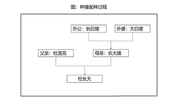 母猪育种常识(母猪种猪养殖技术)-第5张图片-牛逼常识网 母猪育种常识(母猪种猪养殖技术)-第5张图片-牛逼常识网