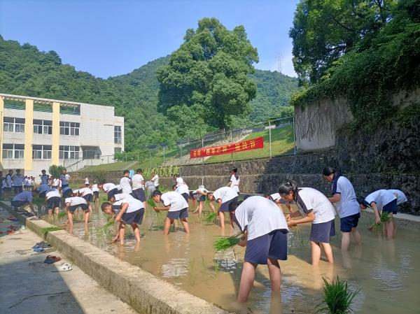 种菜季节常识 - 种菜季节常识大全-第1张图片-牛逼常识网 种菜季节常识 - 种菜季节常识大全-第1张图片-牛逼常识网