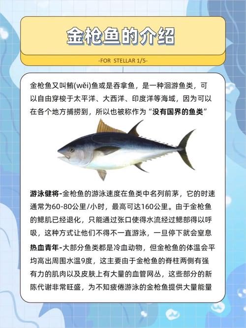 鱼类的小常识,鱼类的小知识-第4张图片-牛逼常识网 鱼类的小常识,鱼类的小知识-第4张图片-牛逼常识网