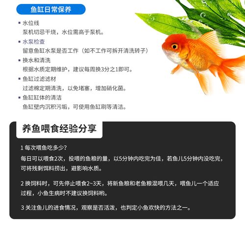 鱼类的小常识,鱼类的小知识-第8张图片-牛逼常识网 鱼类的小常识,鱼类的小知识-第8张图片-牛逼常识网
