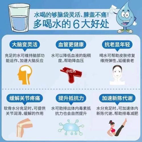 晚上喝水常识 - 晚上喝水的危害性-第6张图片-牛逼常识网 晚上喝水常识 - 晚上喝水的危害性-第6张图片-牛逼常识网