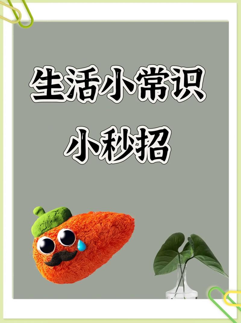 248个常识,常识大全1000题及答案-第3张图片-牛逼常识网 248个常识,常识大全1000题及答案-第3张图片-牛逼常识网