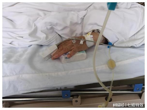 小白学医学常识(自学医学常识)-第1张图片-牛逼常识网 小白学医学常识(自学医学常识)-第1张图片-牛逼常识网