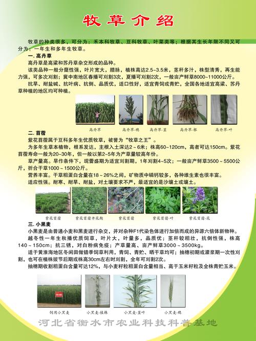 农业种植常识科普,农业种植讲解-第1张图片-牛逼常识网 农业种植常识科普,农业种植讲解-第1张图片-牛逼常识网
