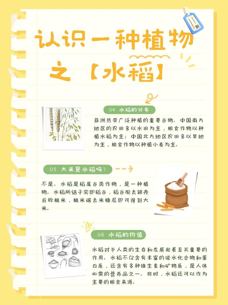 农业种植常识科普,农业种植讲解-第4张图片-牛逼常识网 农业种植常识科普,农业种植讲解-第4张图片-牛逼常识网