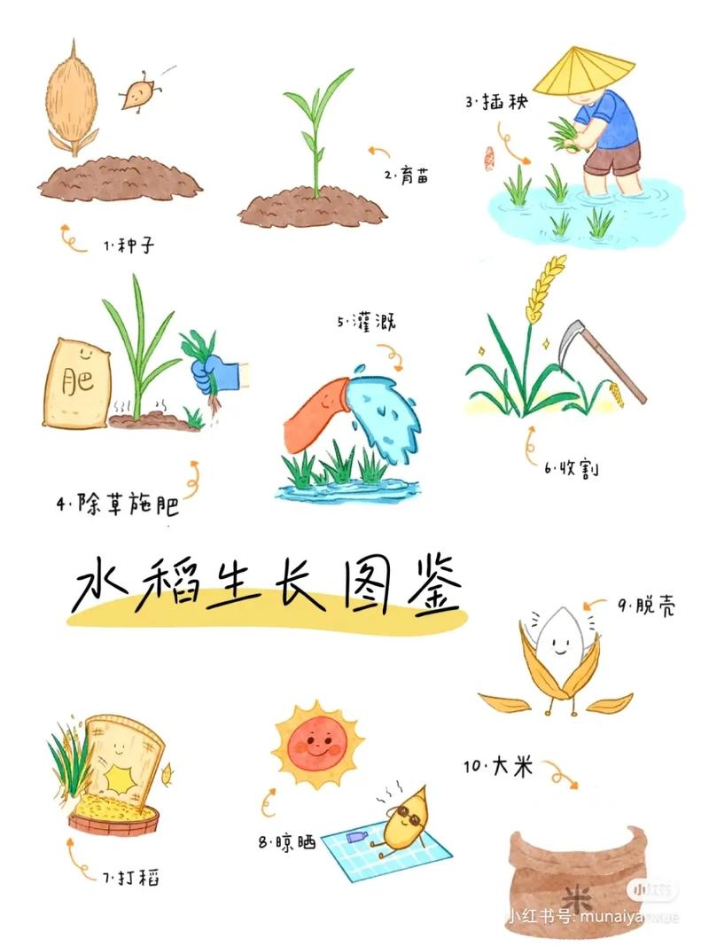 农业种植常识科普,农业种植讲解-第6张图片-牛逼常识网 农业种植常识科普,农业种植讲解-第6张图片-牛逼常识网