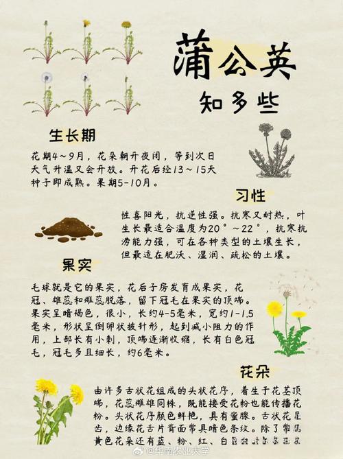 农业种植常识科普,农业种植讲解-第7张图片-牛逼常识网 农业种植常识科普,农业种植讲解-第7张图片-牛逼常识网