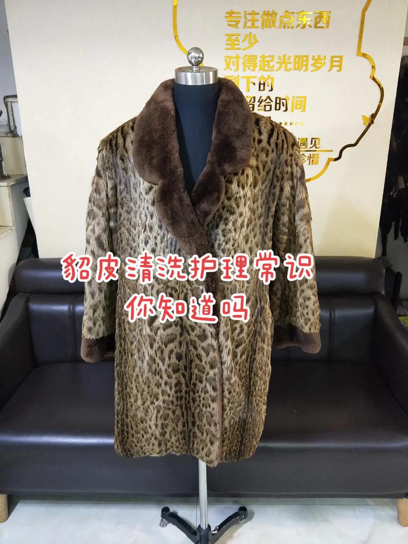 皮毛护理常识 - 皮毛护理常识内容-第2张图片-牛逼常识网 皮毛护理常识 - 皮毛护理常识内容-第2张图片-牛逼常识网