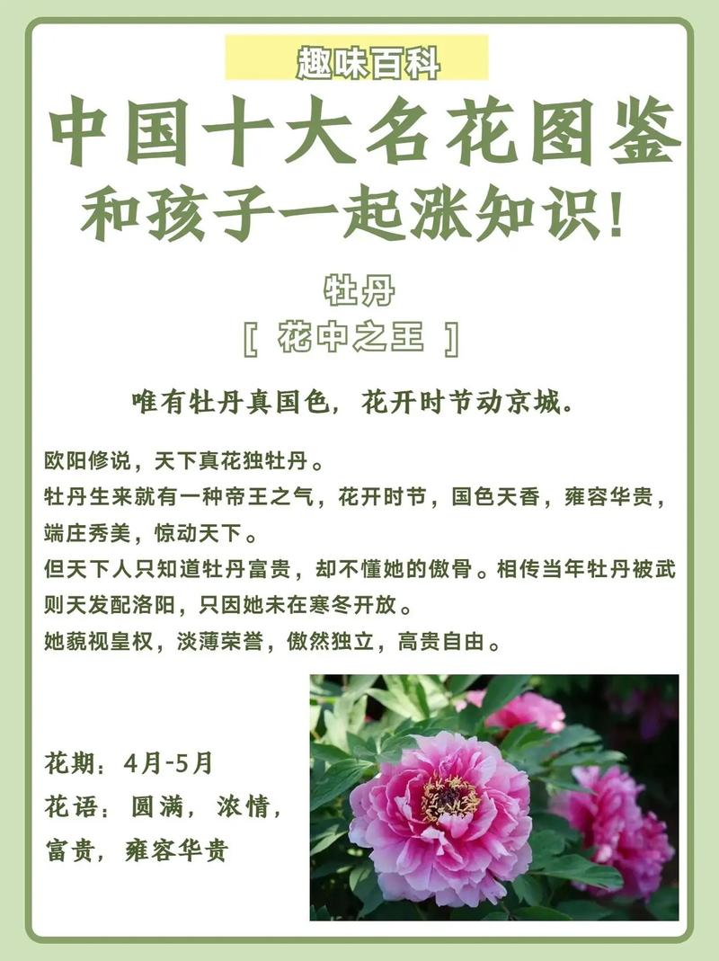 公考文化常识,公考文化常识真题-第5张图片-牛逼常识网 公考文化常识,公考文化常识真题-第5张图片-牛逼常识网