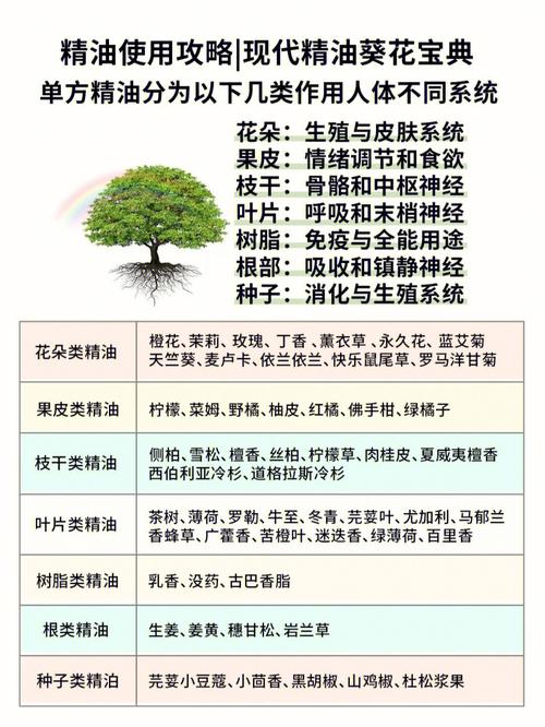 护肤常识大合集(护肤小知识)-第2张图片-牛逼常识网 护肤常识大合集(护肤小知识)-第2张图片-牛逼常识网
