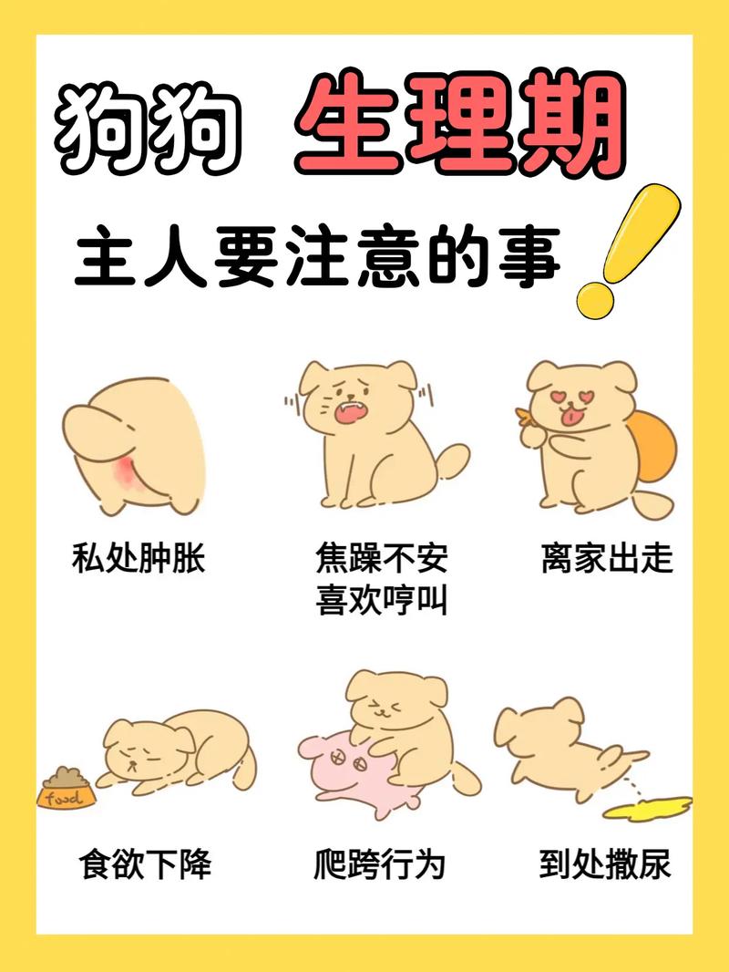 宠物常识大全(宠物常识图片)-第5张图片-牛逼常识网 宠物常识大全(宠物常识图片)-第5张图片-牛逼常识网