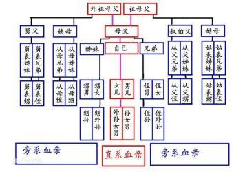 生活常识判断题及答案,生活常识试题及答案-第1张图片-牛逼常识网 生活常识判断题及答案,生活常识试题及答案-第1张图片-牛逼常识网