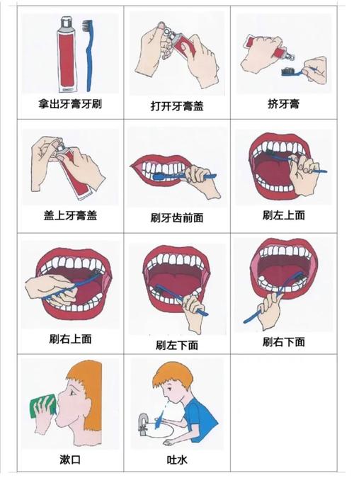 牙齿清洁常识(牙齿清洁好帮手)-第3张图片-牛逼常识网 牙齿清洁常识(牙齿清洁好帮手)-第3张图片-牛逼常识网