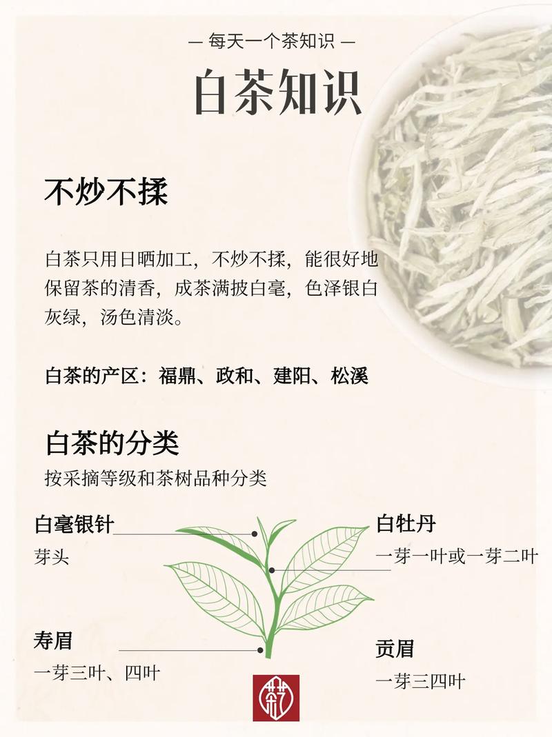 白茶入门常识(如何给大家讲解白茶)-第1张图片-牛逼常识网 白茶入门常识(如何给大家讲解白茶)-第1张图片-牛逼常识网