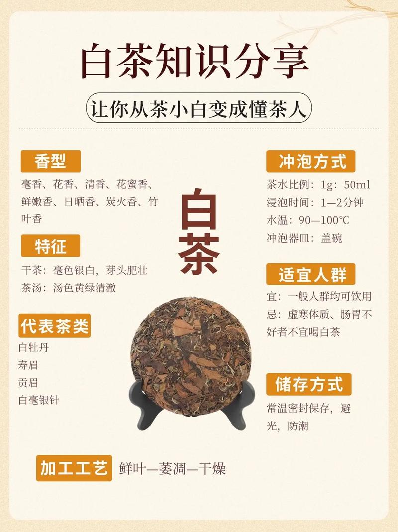 白茶入门常识(如何给大家讲解白茶)-第2张图片-牛逼常识网 白茶入门常识(如何给大家讲解白茶)-第2张图片-牛逼常识网