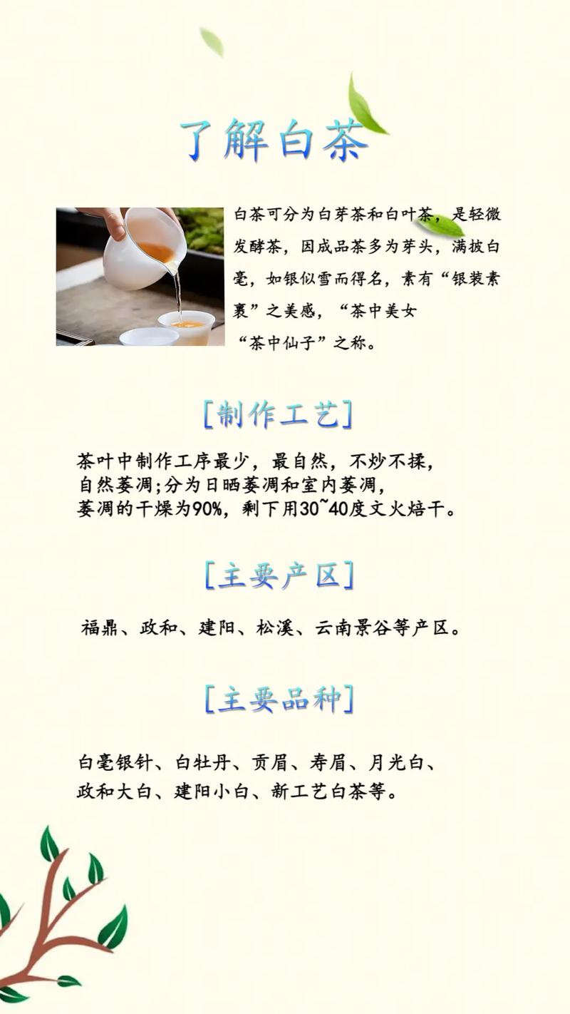 白茶入门常识(如何给大家讲解白茶)-第3张图片-牛逼常识网 白茶入门常识(如何给大家讲解白茶)-第3张图片-牛逼常识网